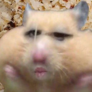 Meet your Posher, Lois